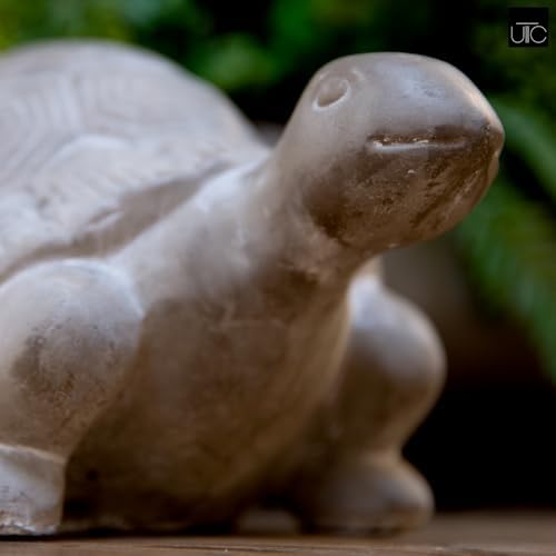 Urban Trends Modern Terracotta Turtle Figurine