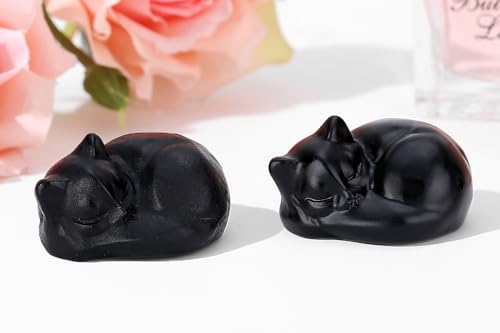 QINJIEJIE Black Obsidian Cat Statue Decor