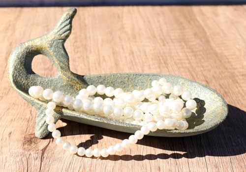 Ebros Gift Cast Iron Whale Soap Dish Tray