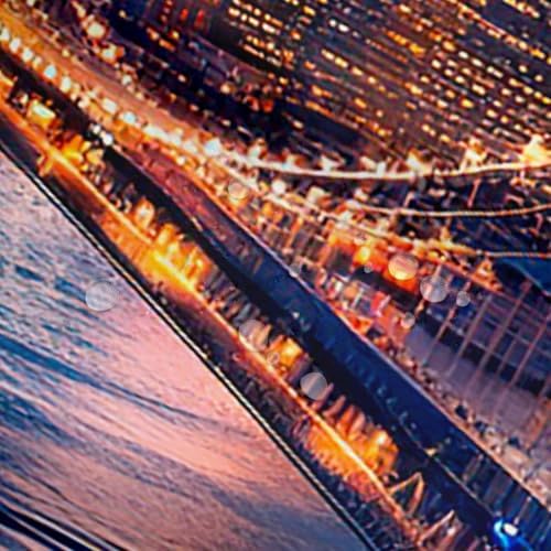 Erosebridal NYC Skyline Shower Curtain Set 72x72