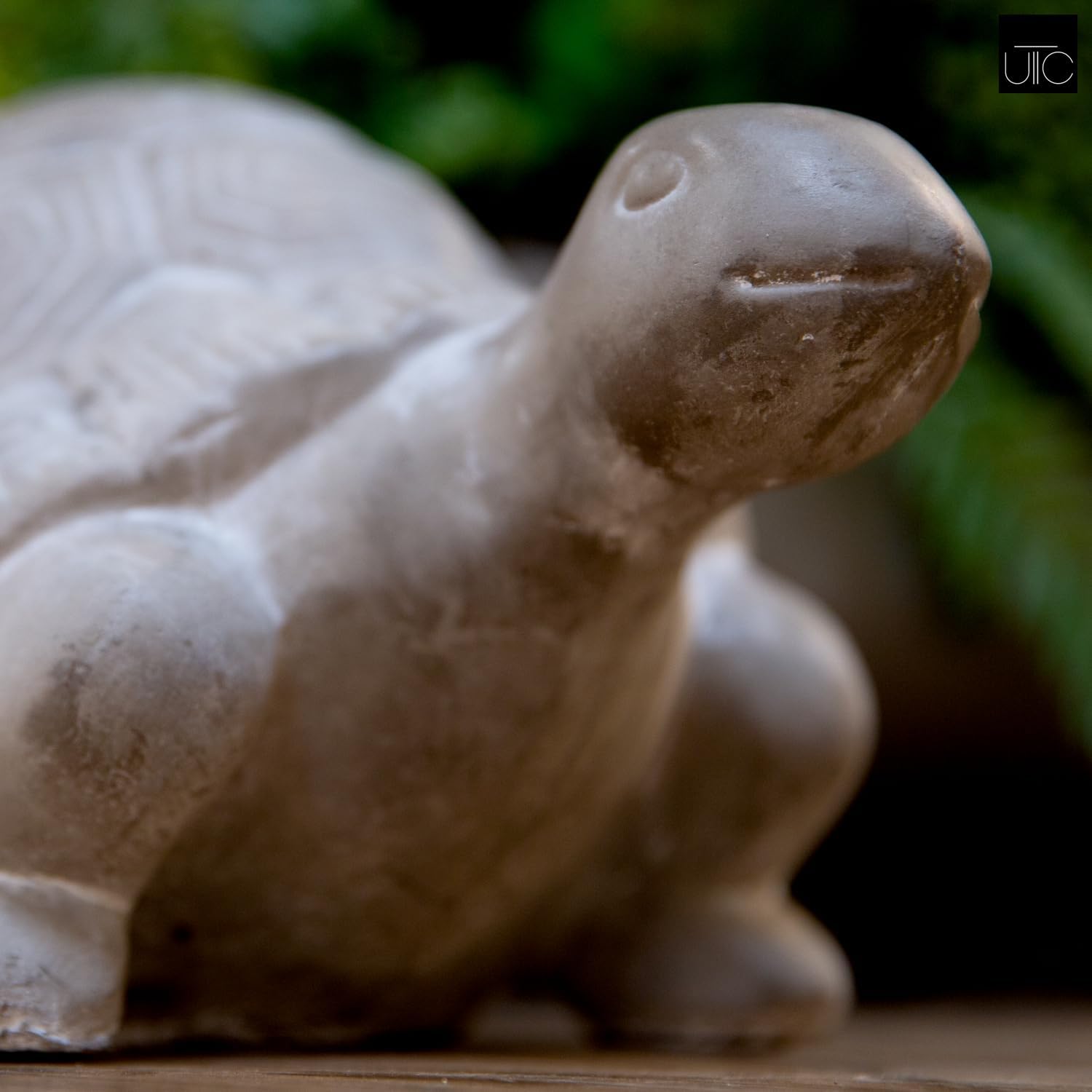 Urban Trends Modern Terracotta Turtle Figurine