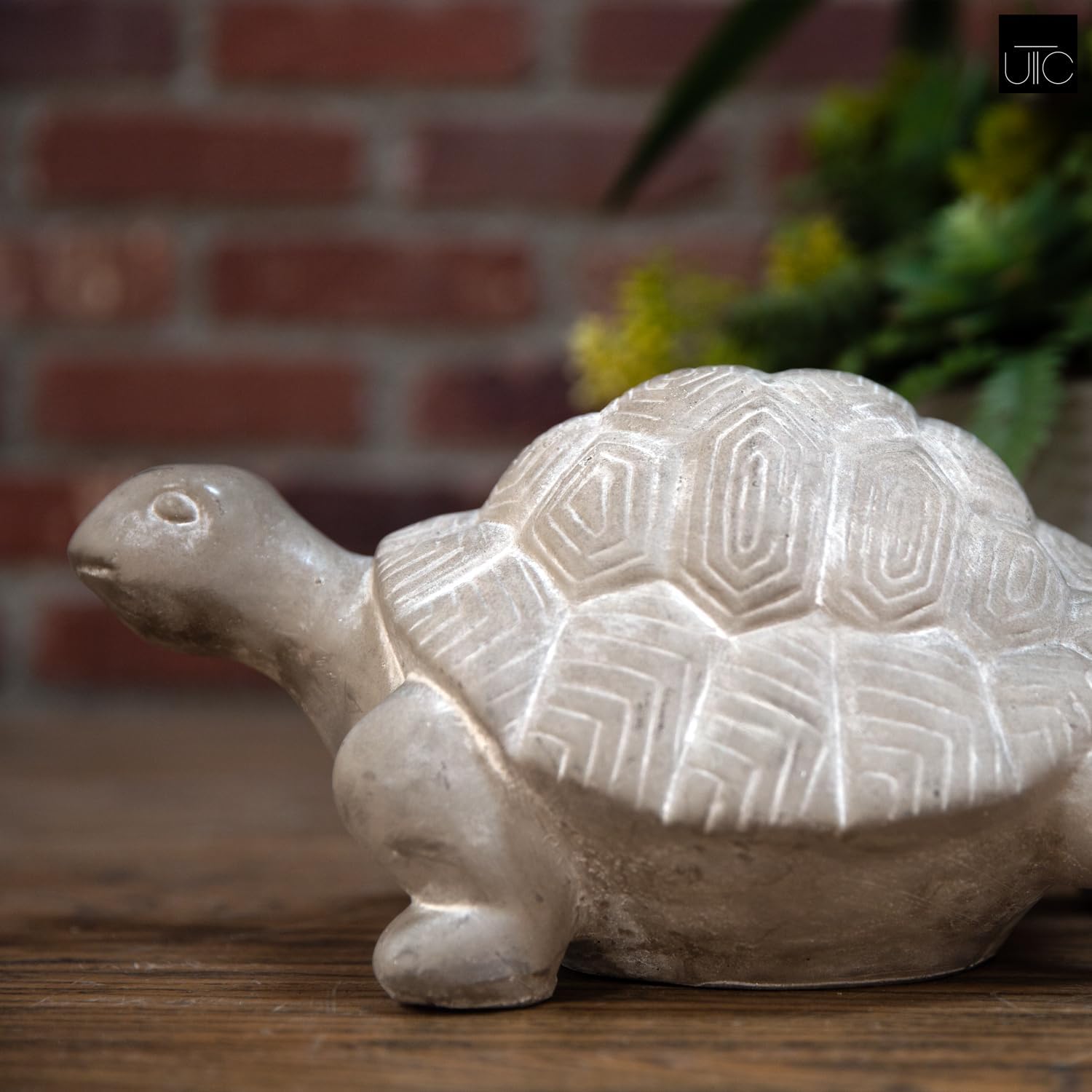 Urban Trends Modern Terracotta Turtle Figurine